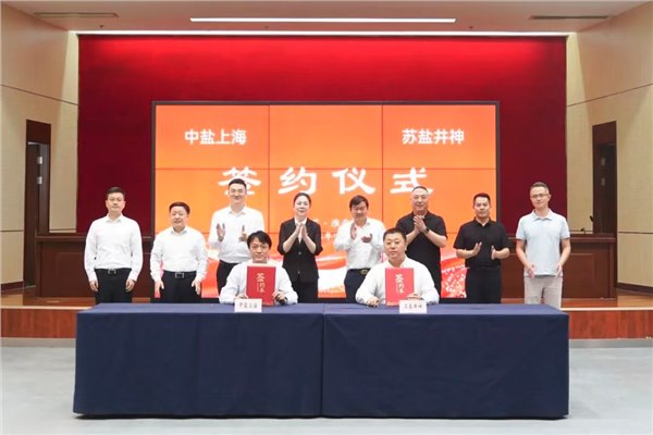 开云手机入口官网井神与中盐上海签署战略合作协议